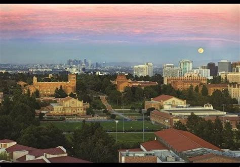 University of California, Los Angeles