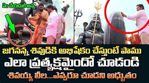 CM Jagan Mohan Reddy Maha Shivaratri Special Pooja Kodali Nani