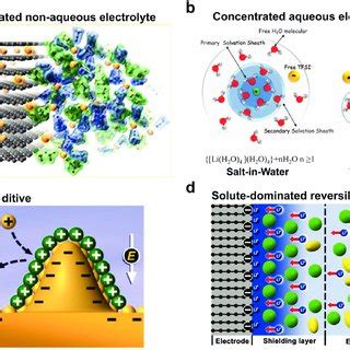 A Representative Li Cation Solvate Species SSIP CIP And AGGs In