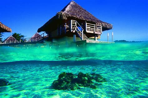 🔥 50 Bora Bora Screensavers Wallpapers Wallpapersafari