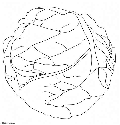 Normal Cabbage Coloring Page