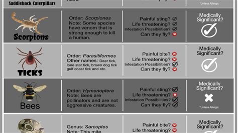 A Visual Guide To The Most Common Biting And Stinging Bugs