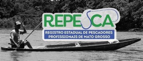 Pescadores Que Comprovarem Que A Pesca Artesanal Sua Profiss O