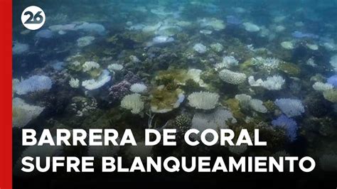 AUSTRALIA Gran Barrera de Coral sufre blanqueamiento jamás registrado