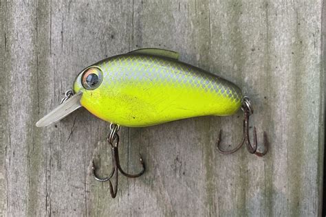 The Best Bass Fishing Lures For Ponds For All Occasions