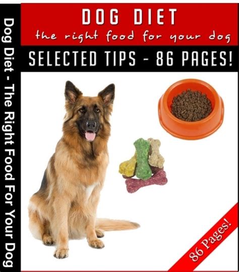 Dog Diet the right food for your dog