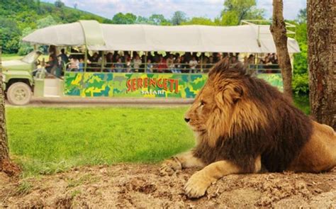 Qué animales hay en el bioparque estrella Incluye VÍDEO