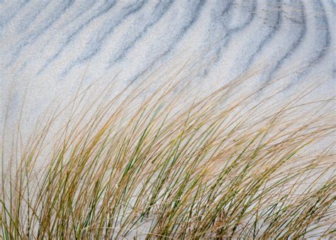 Galleries Bill Ward Photography