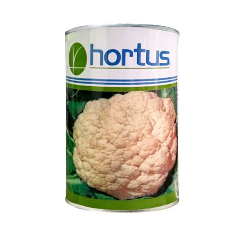 Coliflor Agro Karina