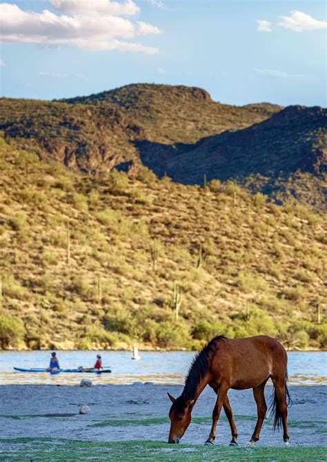 11 Best Spots to go Lake Camping in Arizona