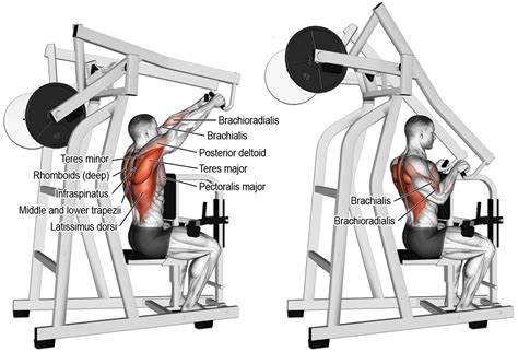 Comment Effectuer Le High Rowing à La Machine Back Exercises Good