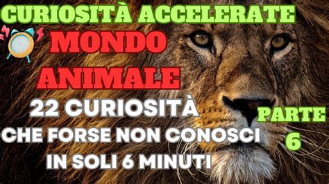 curiosità accelerate 22 curiosità che forse non conosci in soli 8