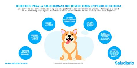 Gráfica del día Beneficios para la salud humana que ofrece tener un perro