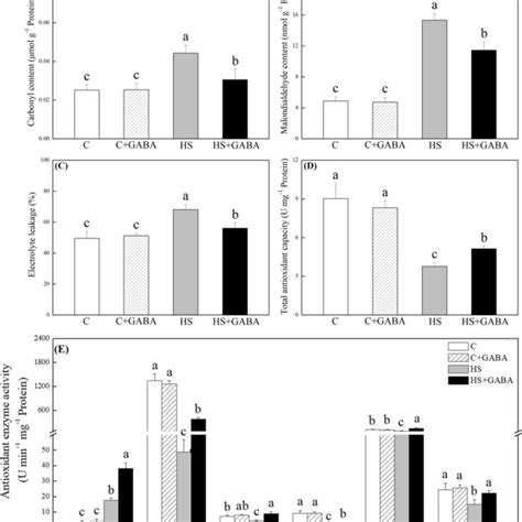 Effects of γ aminobutyric acid GABA priming on A carbonyl content