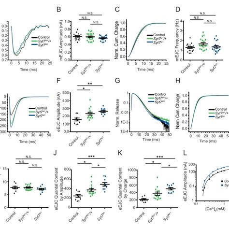 Syt7 Mutants And Syt7 Heterozygotes Display Enhanced Neurotransmitter