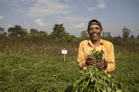 Mixed Farming Systems - CGIAR