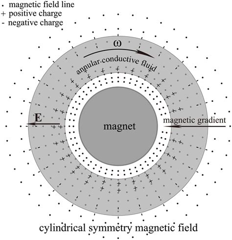 Third Non Frozen Scenario In A Cylindrically Symmetric Magnetic Field