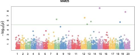 Manhattan Plots Of Gwas Results Showing The Significant Snps Associated Download Scientific