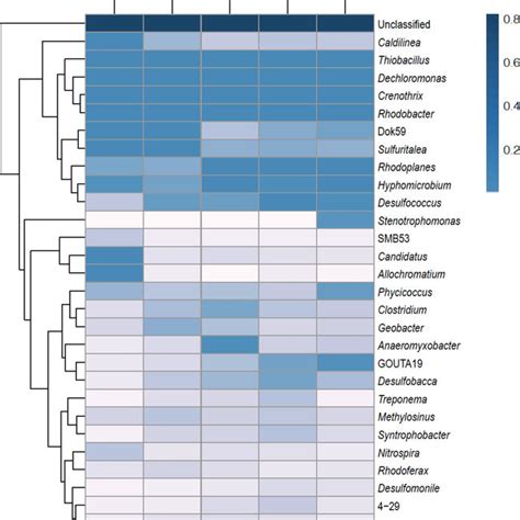 Clustering Of The Samples Using Heatmap Illustration Of Top 30 Abundant