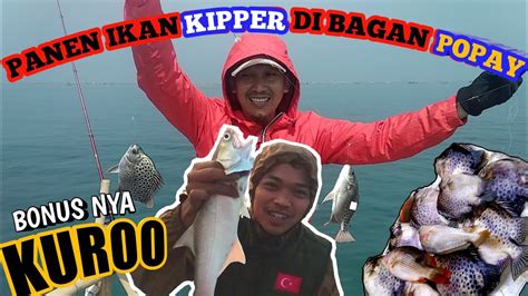 PANEN IKAN KIPPER SAMPE BOSEN NARIK TERUS MANCING BAGAN POPAYE