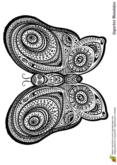 Superbes Mandalas Papillon Geant Page 41 Sur 52 Sur