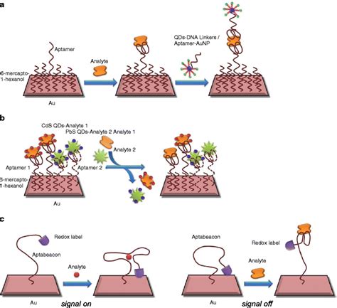 Electrochemical Aptamer Based Sensors Springerlink