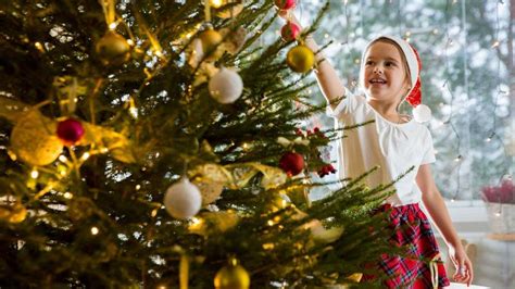 Dia Que Monta A Arvore De Natal - Hoje é o dia certo de montar árvore de Natal! Entenda o motivo