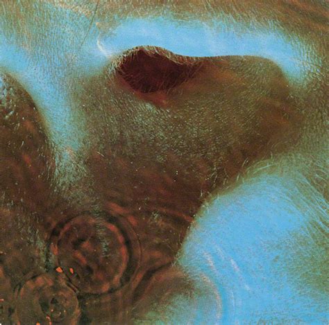 Pink Floyd Meddle Cd Discogs