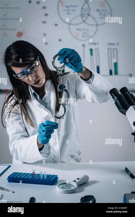 Forensic Science In Lab Forensic Scientist Examining Handcuff For