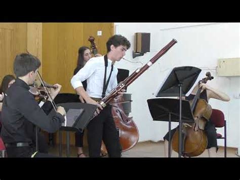 Vivaldi Bassoon Concerto In A Minor Rv Youtube