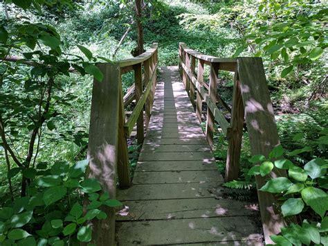 Mineral Springs Trail In Pennsylvania Is A Magical Loop Trail