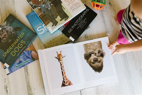 25 Books For Kids Who Love Taking Photos Snap Happy Mom