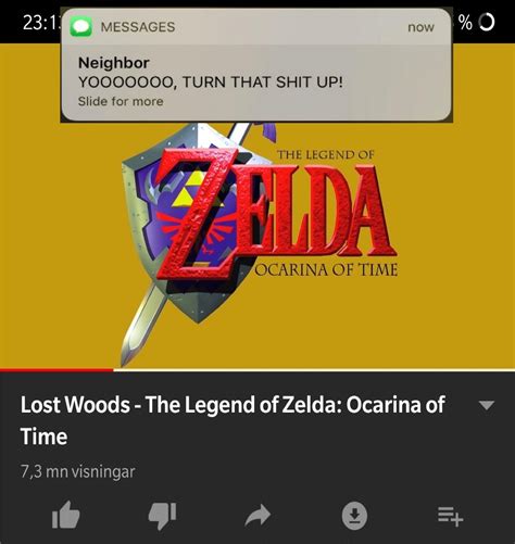 [OoT] The theme song of Gaming : r/zelda