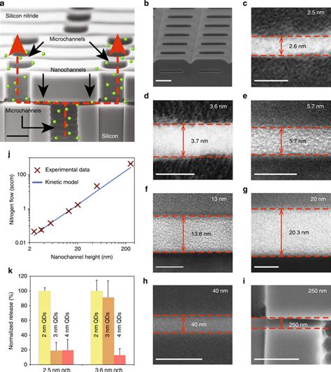 Characterization Of The Nanochannel Membranes Used In This Study A Sem