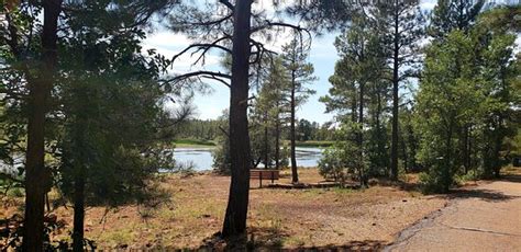 Woodland Lake Park Pinetop Lakeside 2020 All You Need To Know