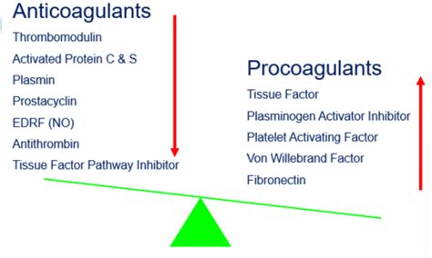 Exam 1 Shock Syndrome Flashcards Quizlet