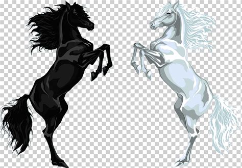 Caballos Blancos Y Negros Caballo Euclidiano árabe Ilustración De