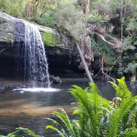 Lorne Forests & Waterfalls - Trail Navigator Victoria