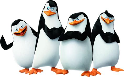 King Penguin Png Image Hd Png All