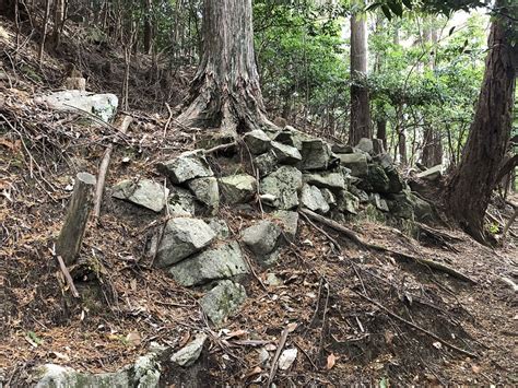 壺笠山城の写真：主郭南西帯曲輪二段下石垣 ぐこさん 攻城団