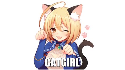 Aggregate 70 Anime Cat Meme Latest In Coedo Vn