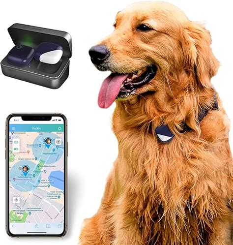 Petfon Pet Gps Tracker No Monthly Fee Real Time Tracking