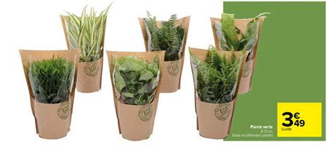 Promo Plante Verte Chez Carrefour ICatalogue Fr