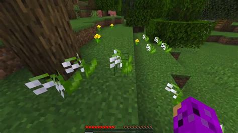 Lily Of The Valley Minecraft Uses And Locations Game Specifications