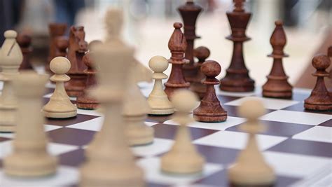 Specialization Vs Generalization A Study On Business Strategy