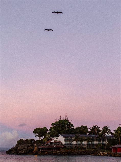 Guadeloupe islands travel guide best things to do in guadeloupe – Artofit