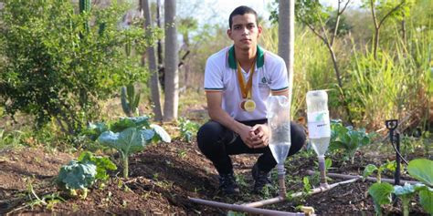 Irriga PET O sistema de irrigação de baixo custo recicláveis