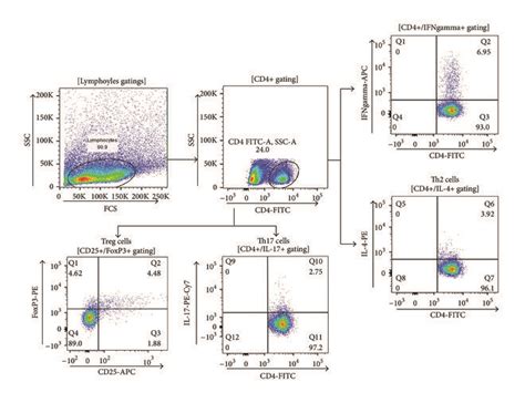 Flow Cytometry Was Used To Measure The Proportion Of The T Cell Subsets Download Scientific