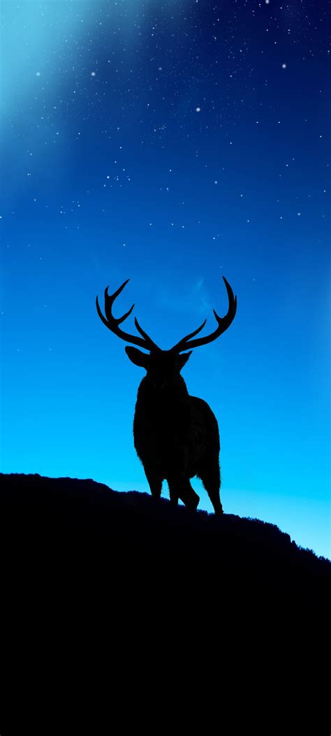 «Deer phone wallpaper» 1080P, 2k, 4k Full HD Wallpapers, Backgrounds ...