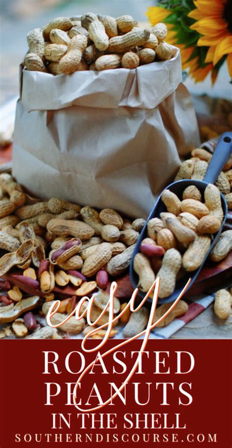 Easy Roasted Peanuts In The Shell Southern Discourse